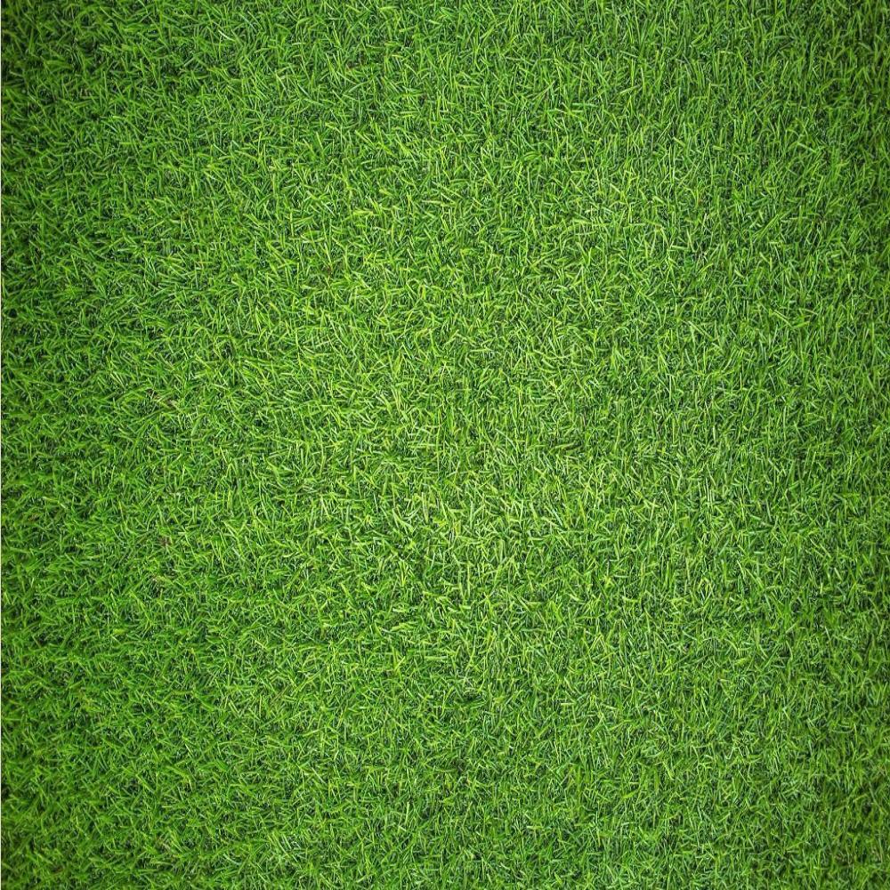 Jigsaw Puzzle - Natural Grass - Impuzzible - 1000 Piece Jigsaw Puzzle