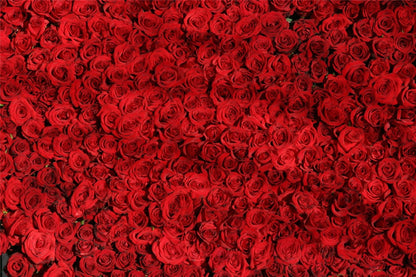 Dozens of Roses - Impuzzible No. 19 - 1000 Piece Jigsaw Puzzle