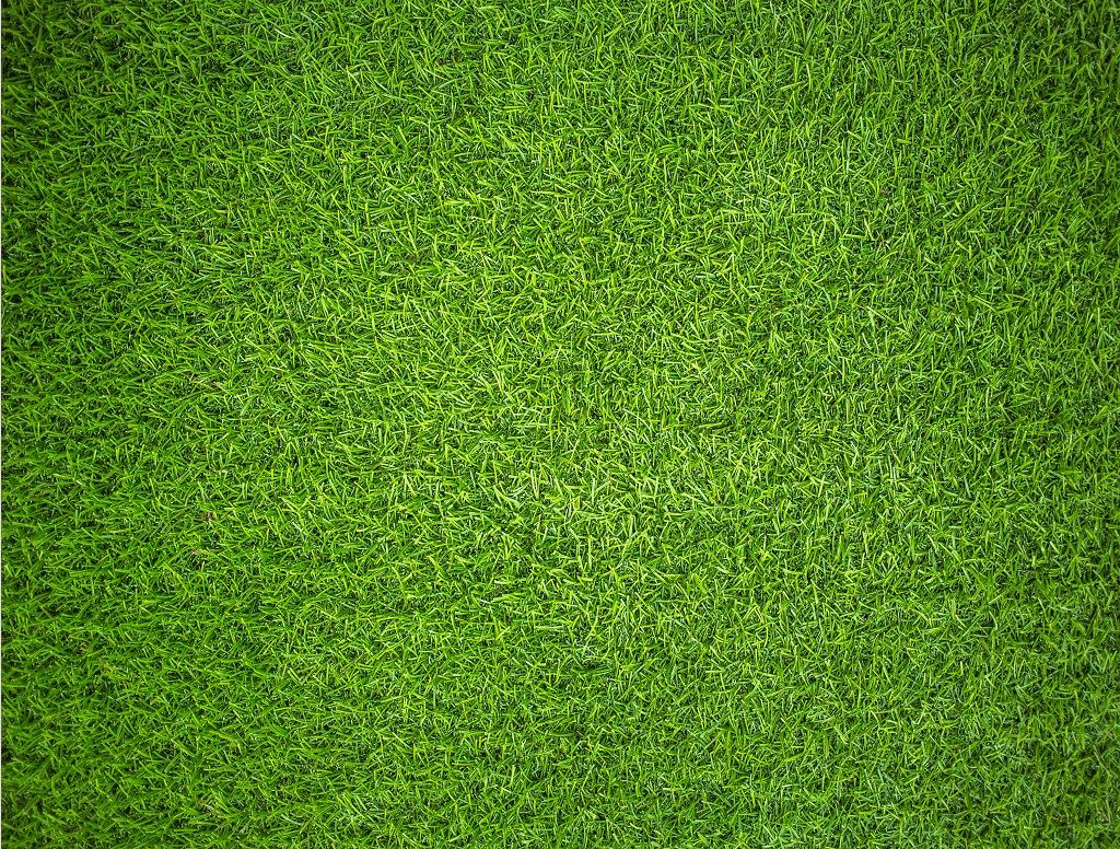 Natural Grass - Impuzzible
