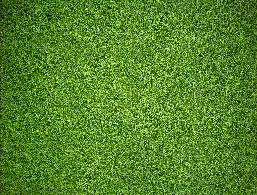 Natural Grass - Impuzzible