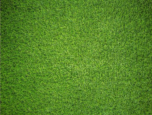 Natural Grass - Impuzzible